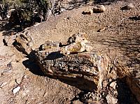 Escalante state park (8).JPG